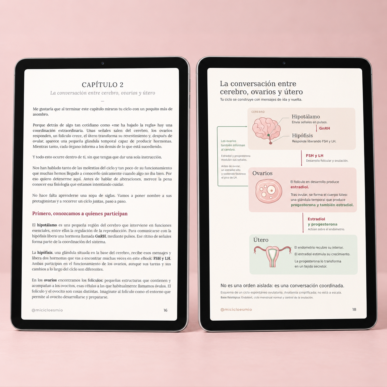 Tu ciclo no está roto · eBook + láminas imprimibles - Imagen 2